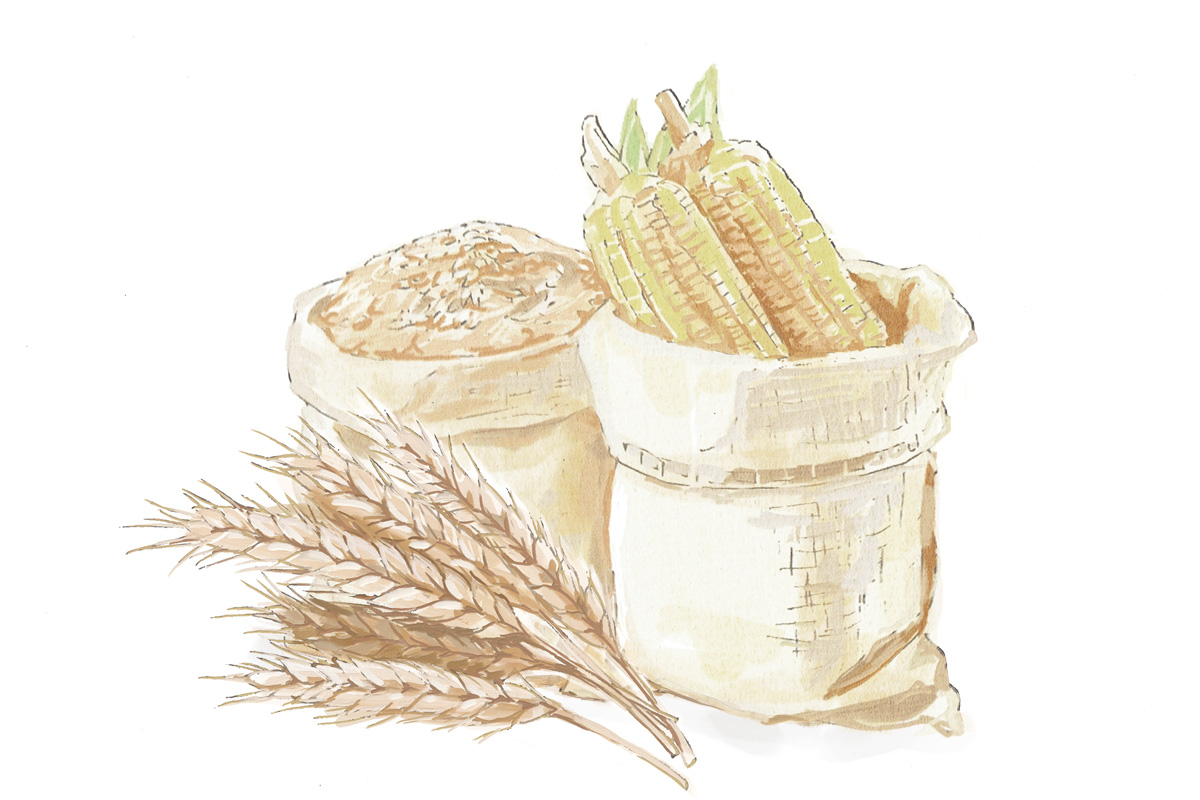 ジンの製造過程。原料