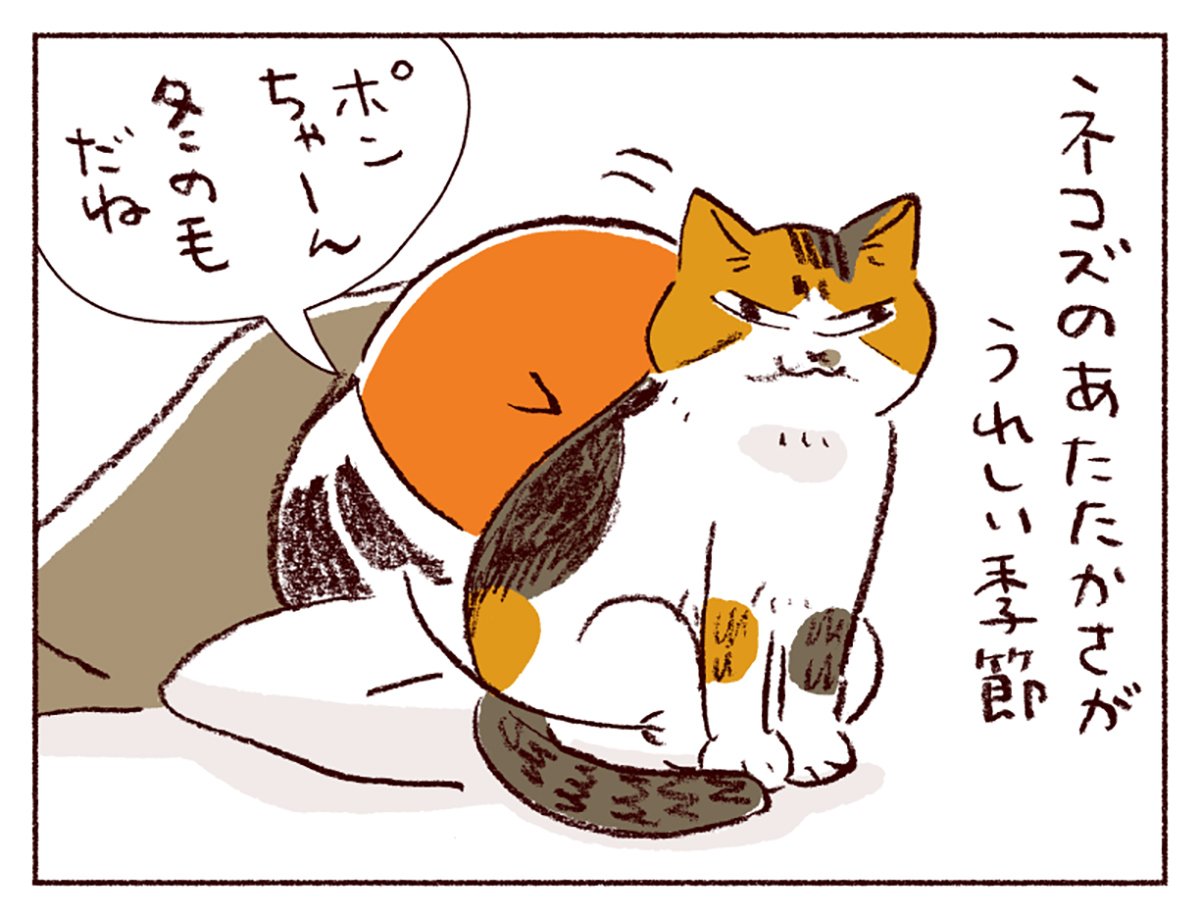 わたしうりひめよ スケラッコ 28話 ネコ漫画 猫