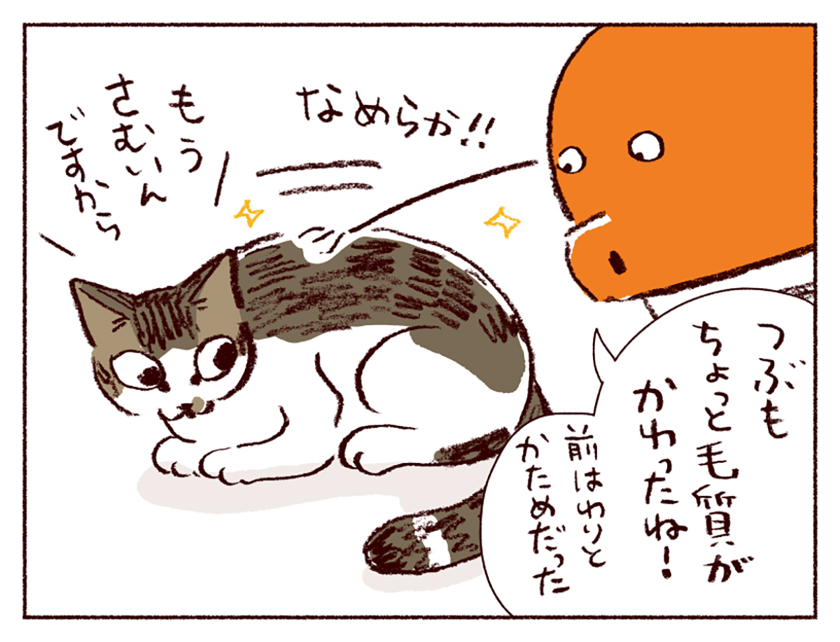 わたしうりひめよ スケラッコ 28話 ネコ漫画 猫