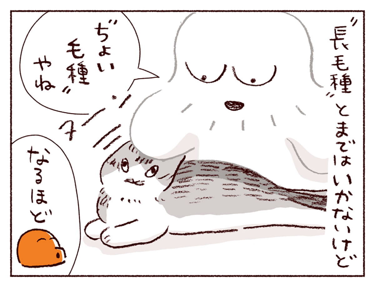 わたしうりひめよ スケラッコ 28話 ネコ漫画 猫