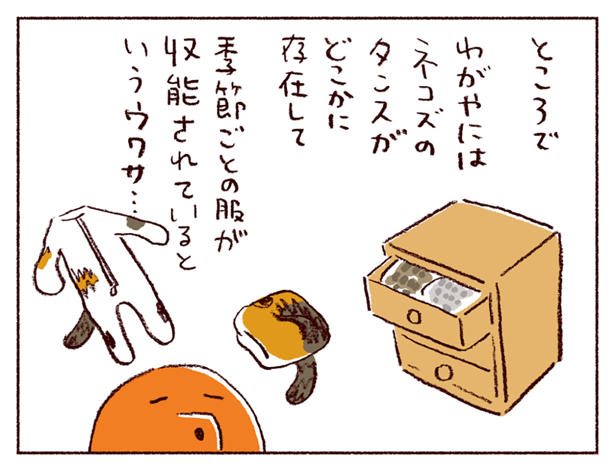 わたしうりひめよ スケラッコ 28話 ネコ漫画 猫