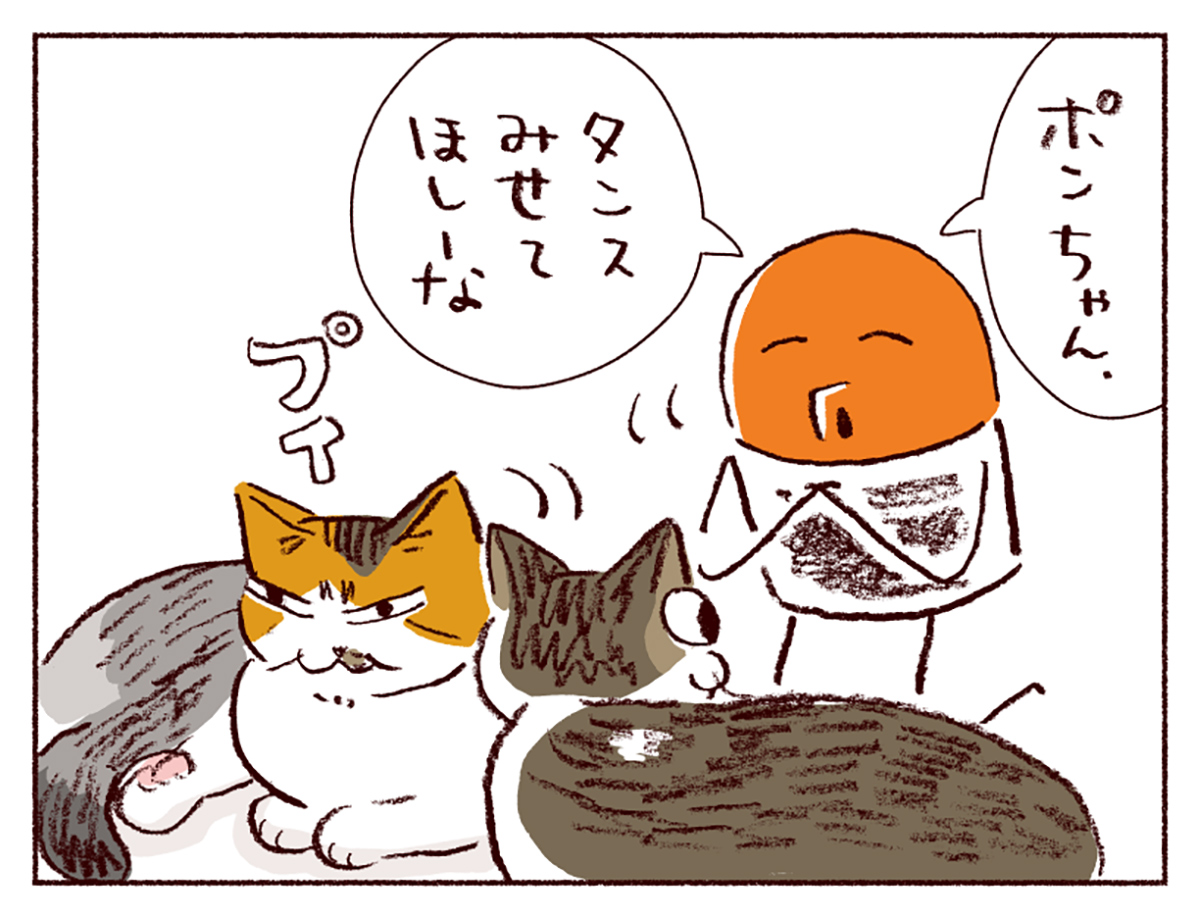 わたしうりひめよ スケラッコ 28話 ネコ漫画 猫