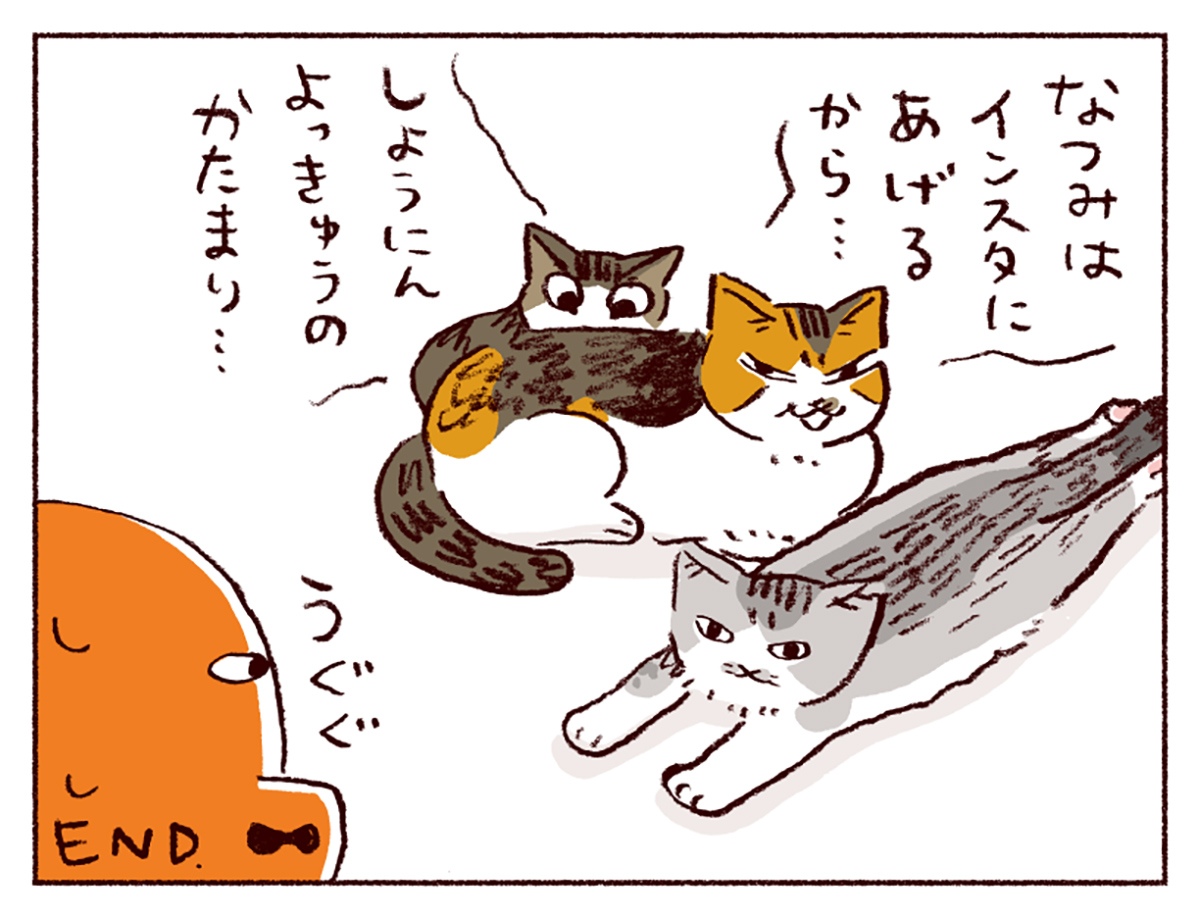 わたしうりひめよ スケラッコ 28話 ネコ漫画 猫