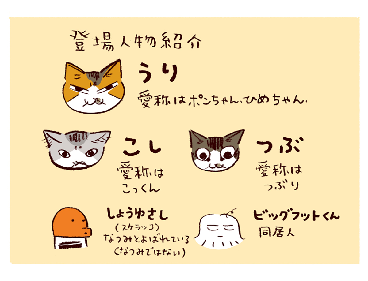 わたしうりひめよ スケラッコ 28話 ネコ漫画 猫