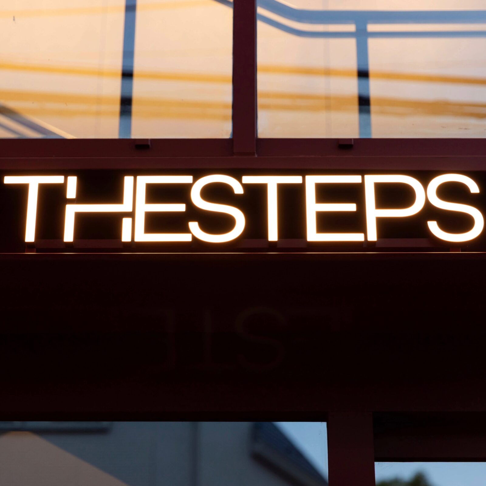 THESTEPS