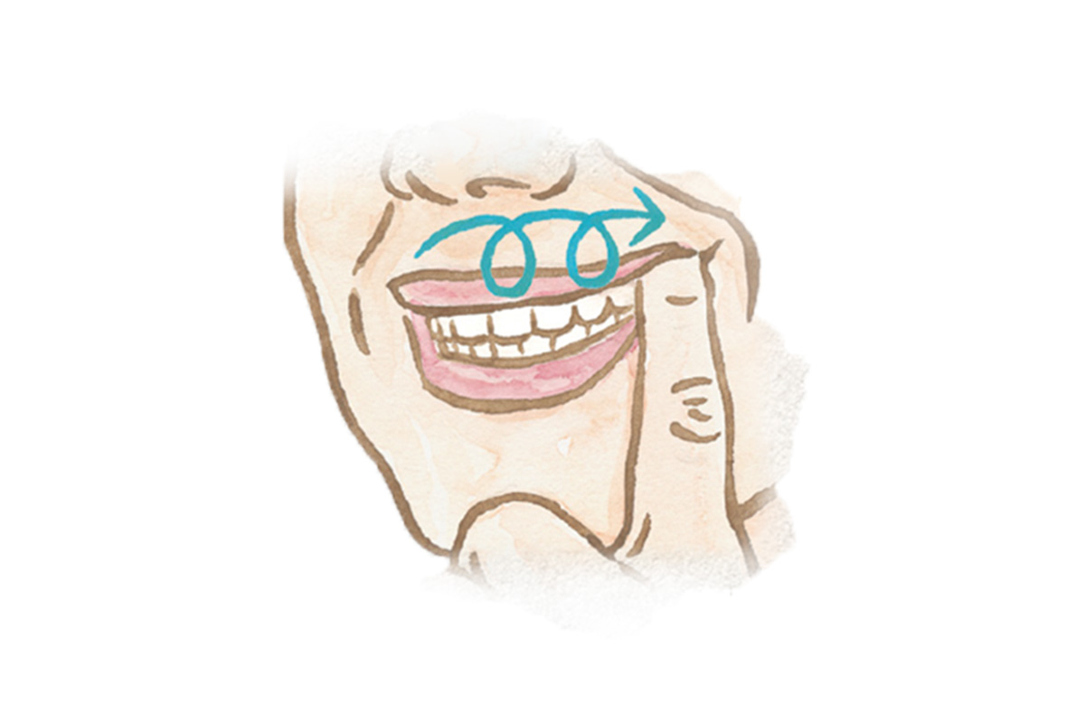 歯茎マッサージのイラスト