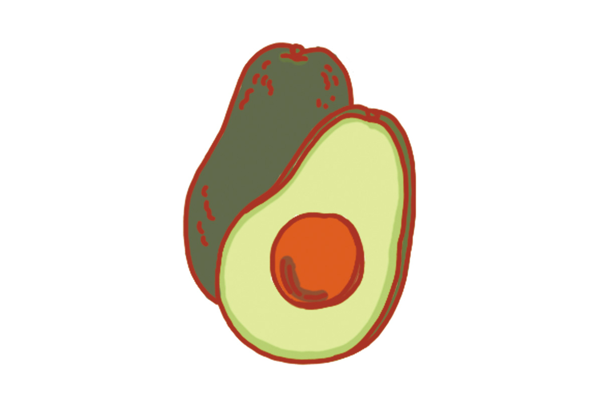 アボカドのイラスト