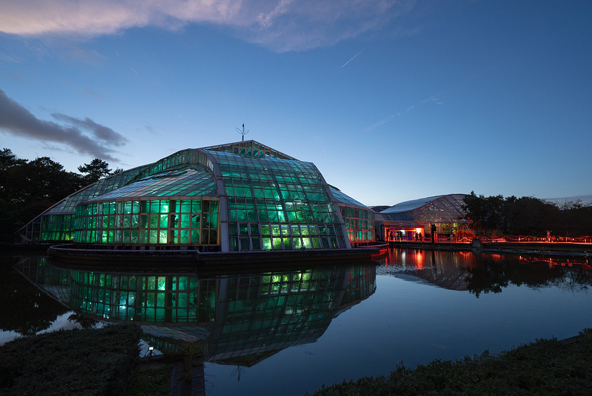 京都のイベント