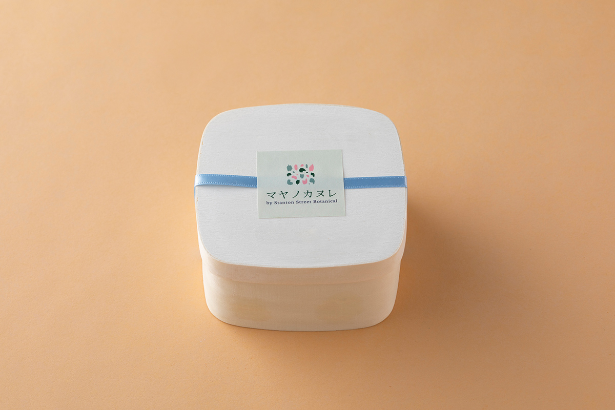 〈マヤノカヌレ〉