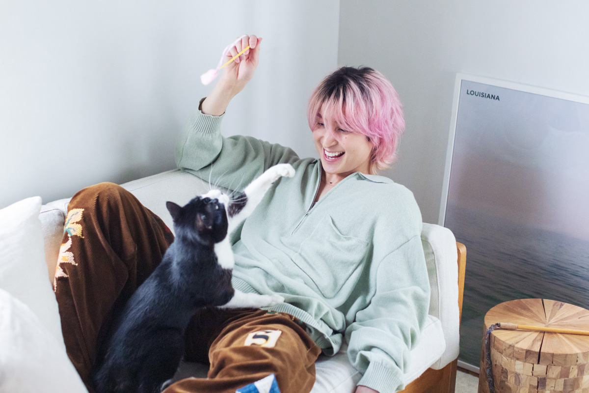 Snow Man佐久間大介と猫