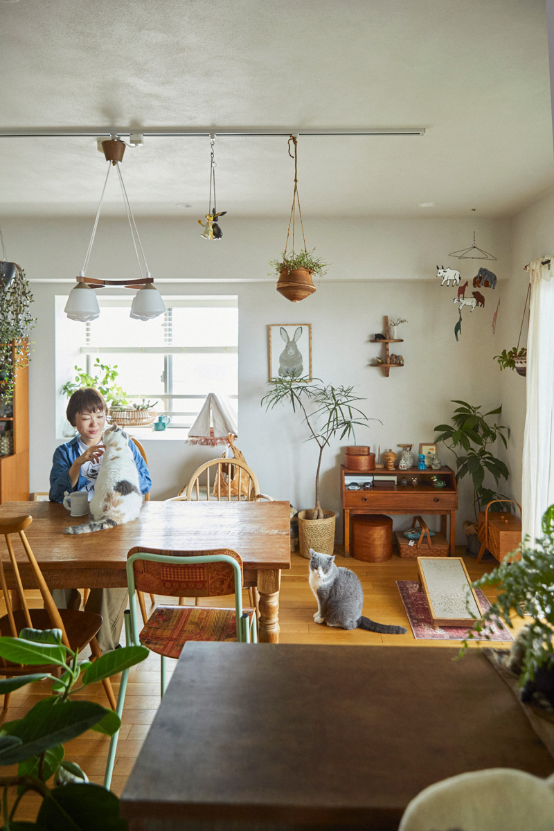 猫がいるおしゃれな生活