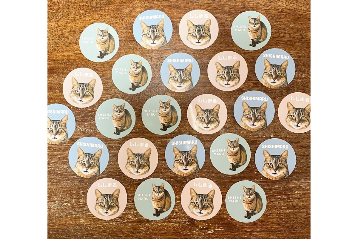飼い猫のシール