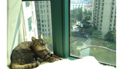 5回くらい、泣きながら作りました。