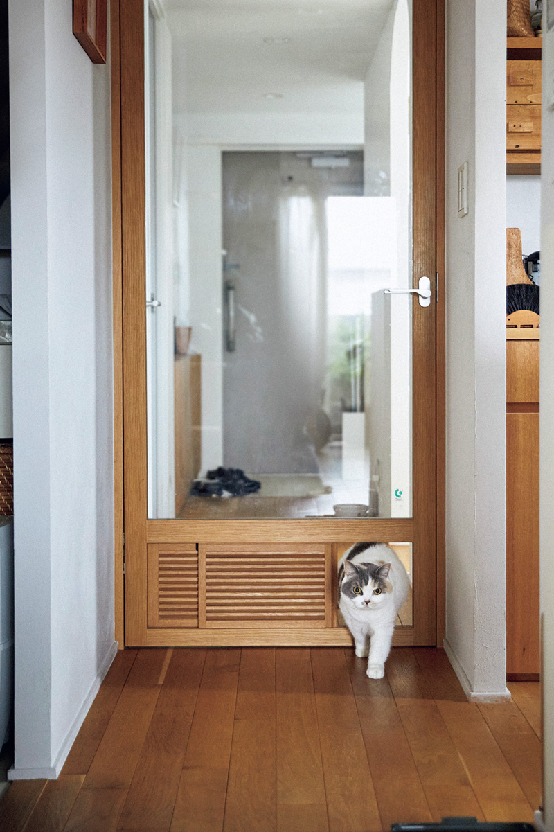 〈オルネコ〉商品企画の豊田知子さんの猫ファーストなおうち 猫の通り道