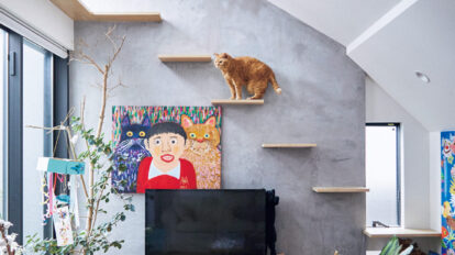 猫雑貨と猫との奇跡の共存！ 窓拭きおじさんとの動画が話題になった猫の、現在のお家