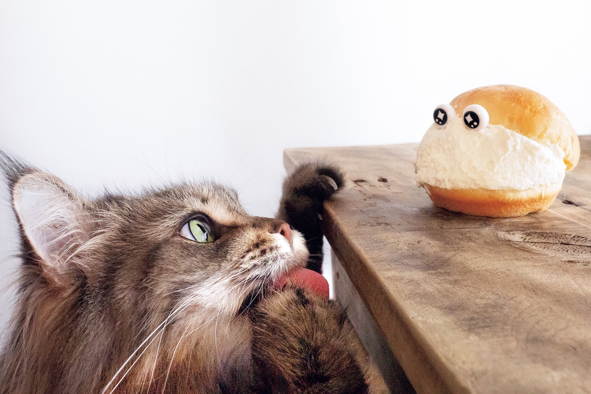 MARCOさんのがんもさん