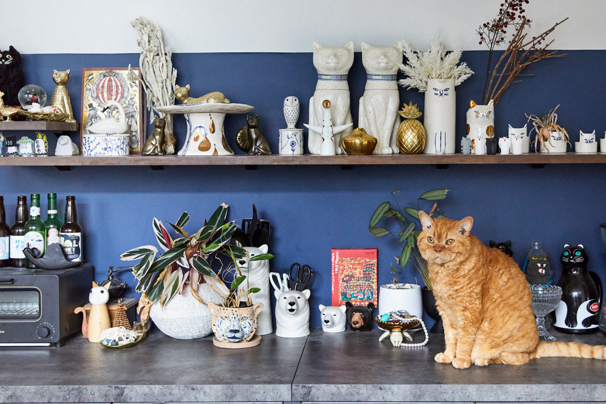 猫ファーストなインテリア