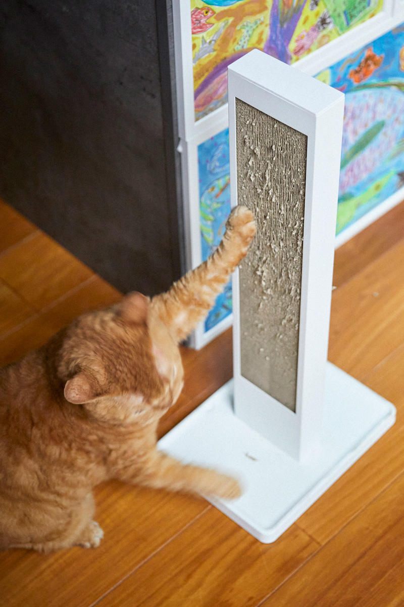 猫ファーストなインテリア　爪どぎ