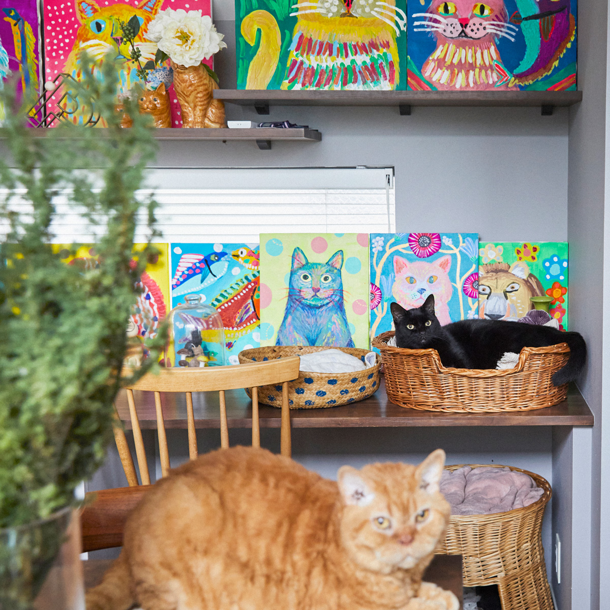 猫ファーストなインテリア　猫ベッド