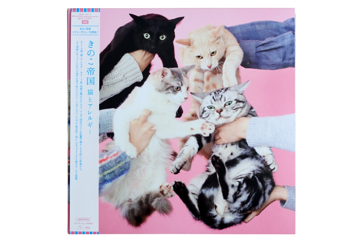 『猫とアレルギー』／きのこ帝国