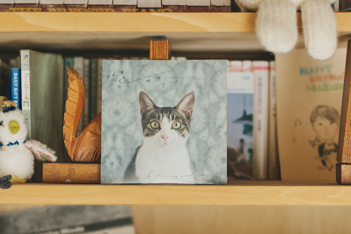 アルバム『14.8℃カマクラ』