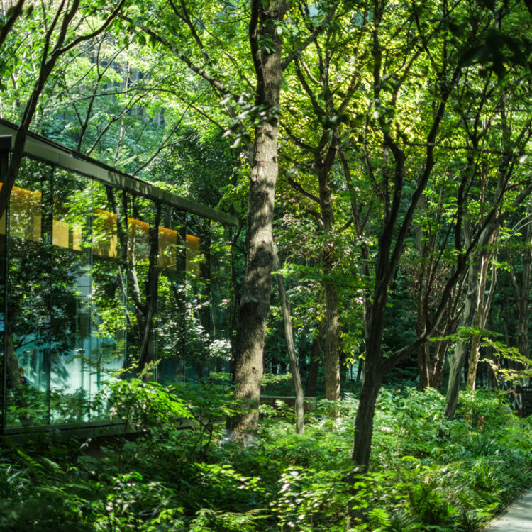 【東京駅】“おいしい・心地よい・買いやすい”｜東京駅周辺の立ち寄りたいおでかけスポットと気の利く手土産など27選