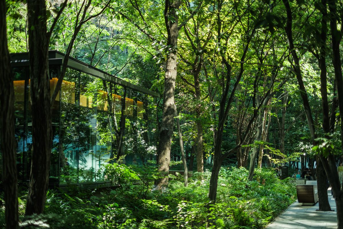 【東京駅】“おいしい・心地よい・買いやすい”｜東京駅周辺の立ち寄りたいおでかけスポットと気の利く手土産など27選