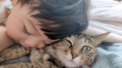 猫の行動心理を知ると“人生の悩み”が軽くなる。猫研究家が教える10のヒント