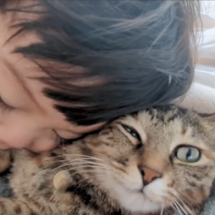 スクリーンショット 2025-11-28 17.35.38