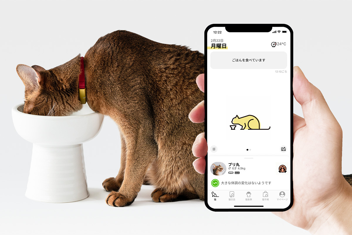 猫の健康を見守る首輪型ウェアラブルデバイス