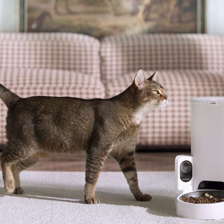 認しながら、食べ残しを検知。給餌量は10g刻
み50gまで、1日最大10回設定でき、声掛け機
能も。19,800円(PETKIT https://petkit.co.jp/) 認しながら、食べ残しを検知。給餌量は10g刻
み50gまで、1日最大10回設定でき、声掛け機
能も。19,800円(PETKIT https://petkit.co.jp/)