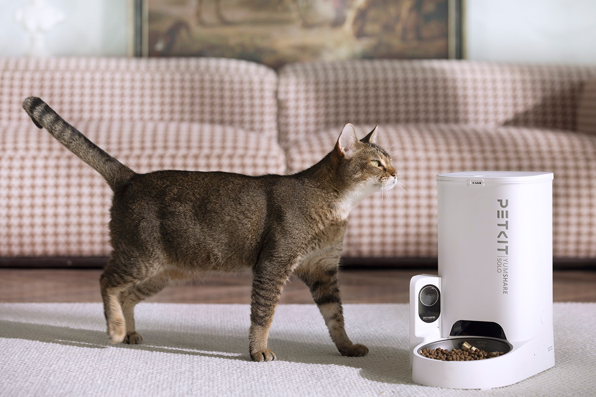 AI搭載の猫給餌機