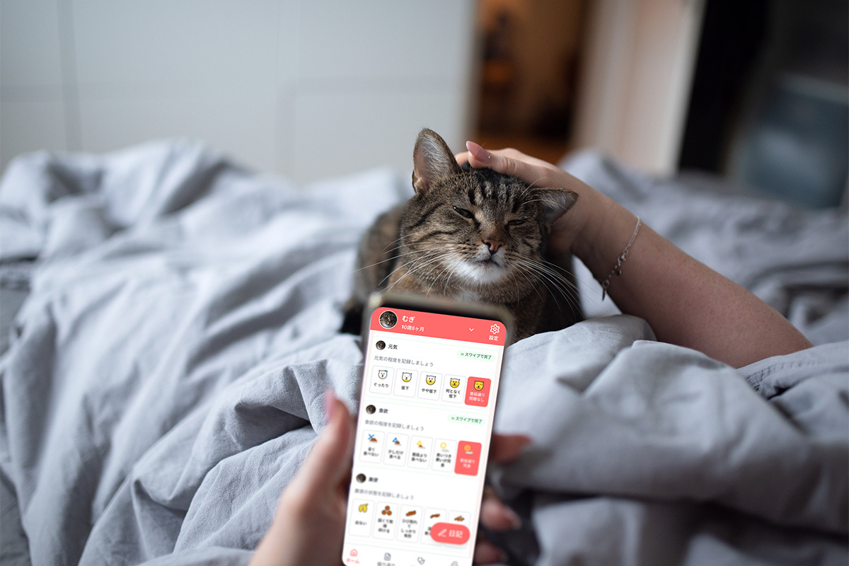 家庭と診療室をつなぐ業界初のサポートシステム。