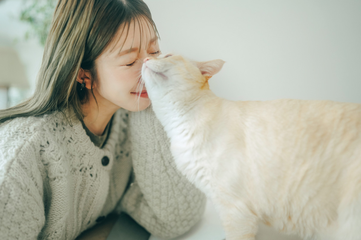 飼い主に頭突きする猫