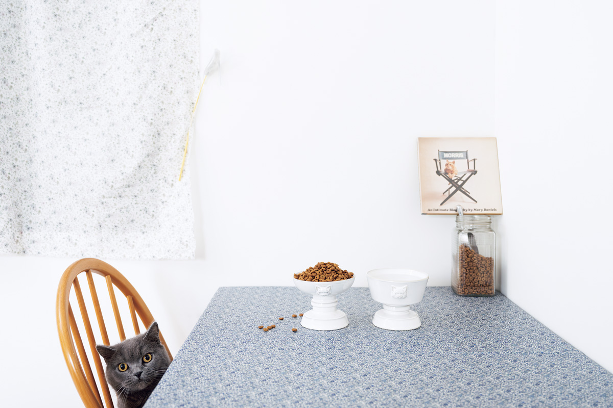 おしゃれな猫グッズ 〈cat design〉food bowl & water bowl set(HAKU/ホワイト)