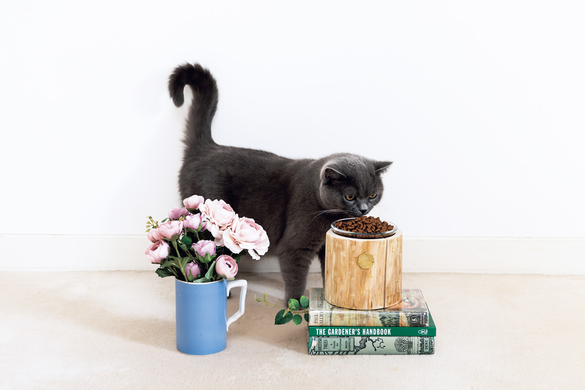 おしゃれな猫グッズ 〈カルデサック ジャポン〉 PET TABLE 1CUP 12㎝