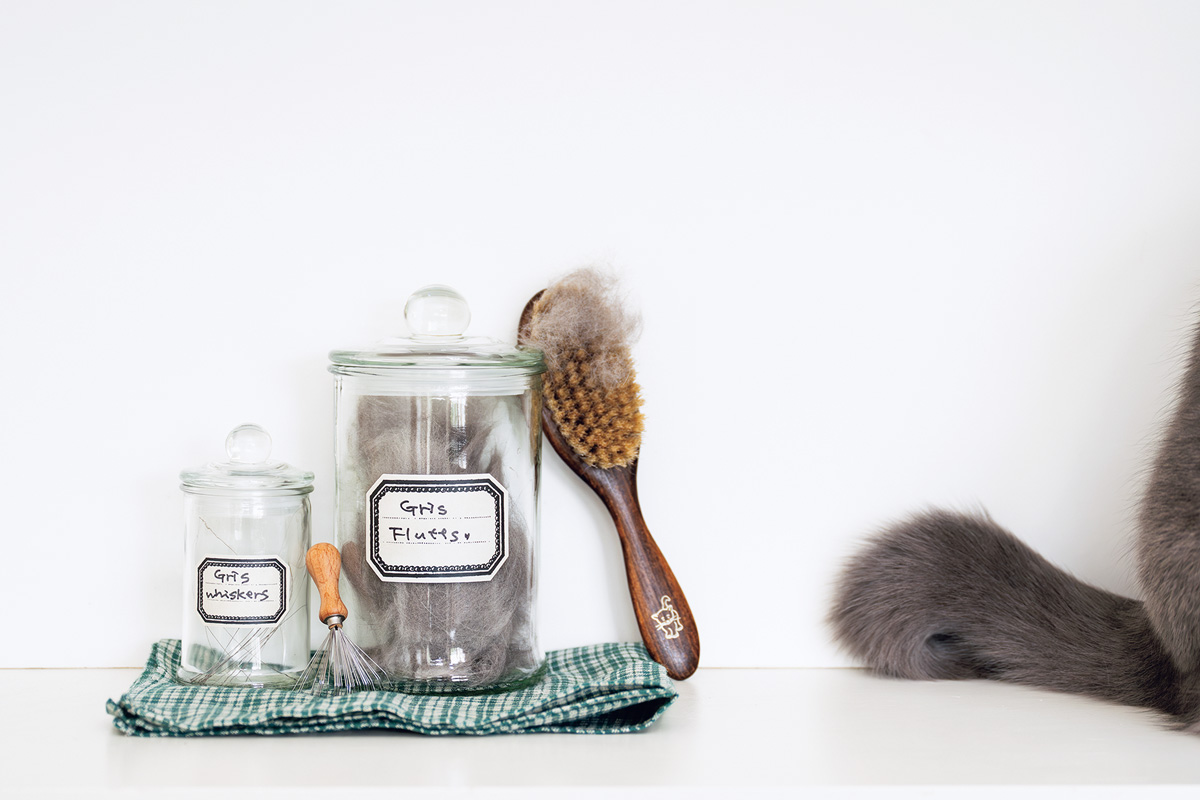 おしゃれな猫グッズ 〈オルネ ド フォイユ〉REDECKER キャットブラシ