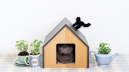 すべては愛猫のため。おしゃれでかわいいだけじゃない猫のための日用品21選