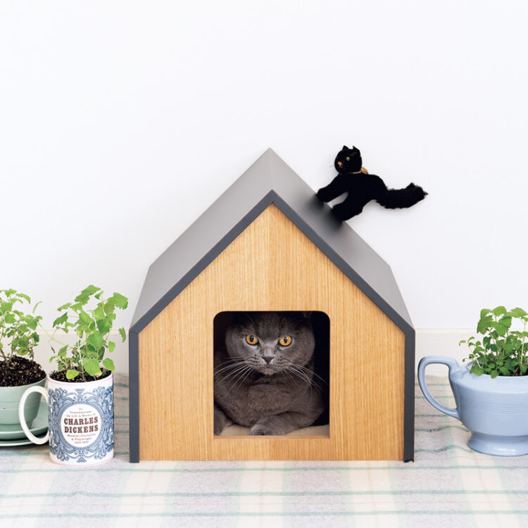 DMA-DSC_5625 DMA-DSC_5625