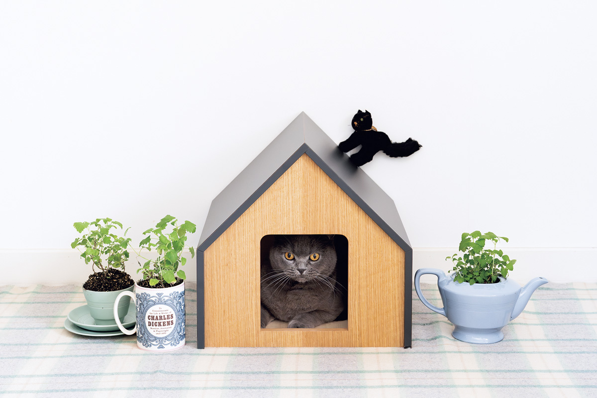 おしゃれな猫グッズ 〈&CAT〉のHÜTTE
