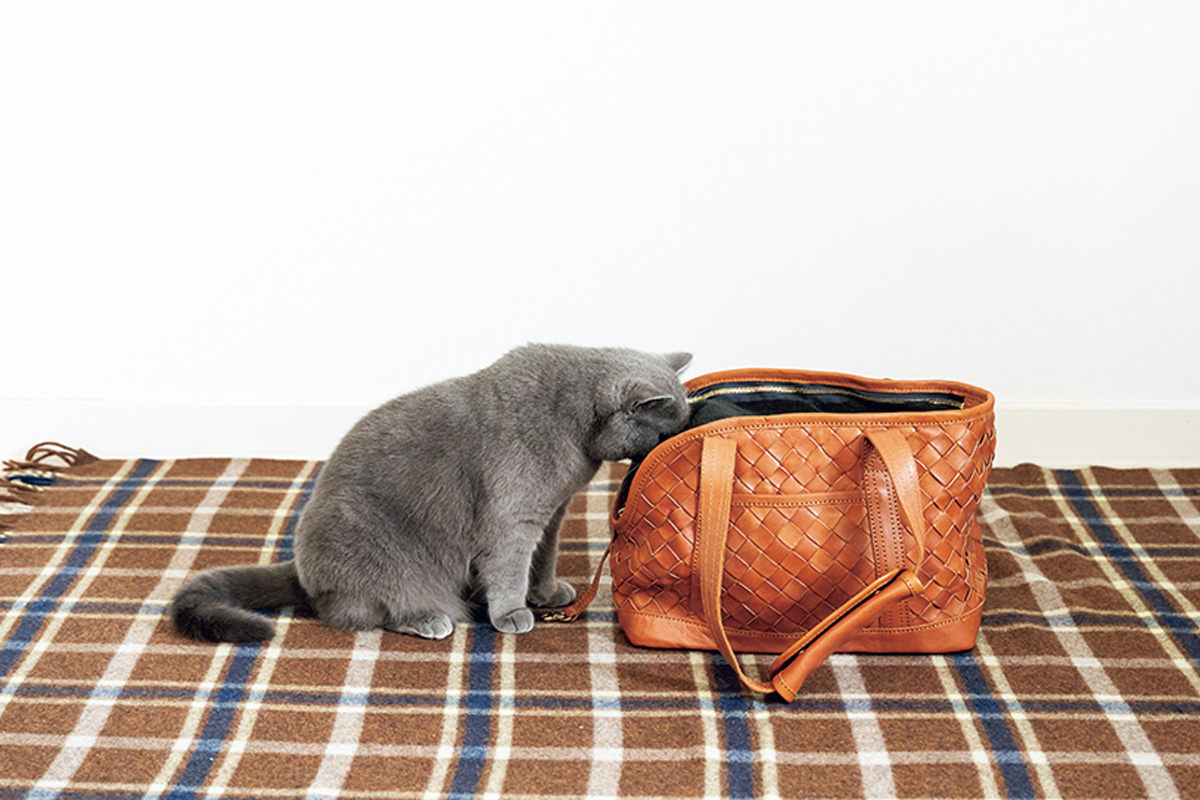 〈Paw’s living〉のメッシュレザーペットキャリートート(S)おしゃれな猫グッズ