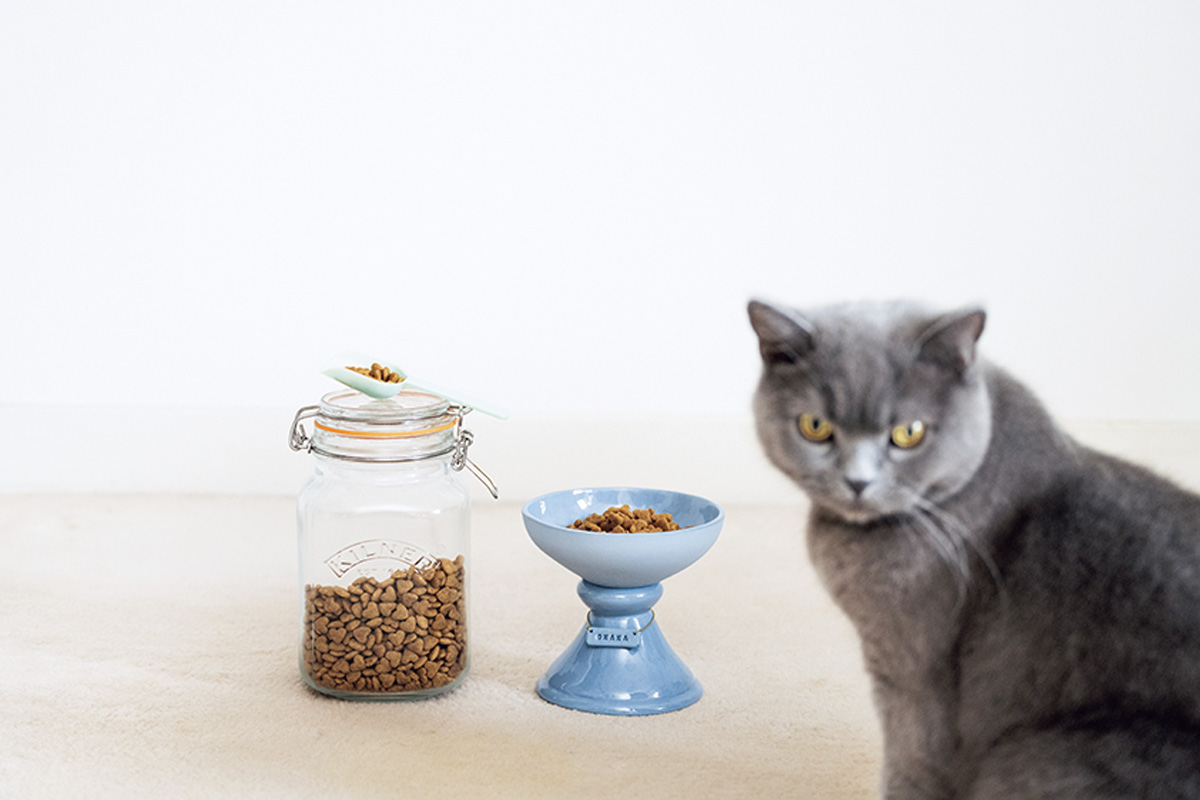 おしゃれな猫グッズ 〈Hello cats, my dear friends〉 Food Stand
