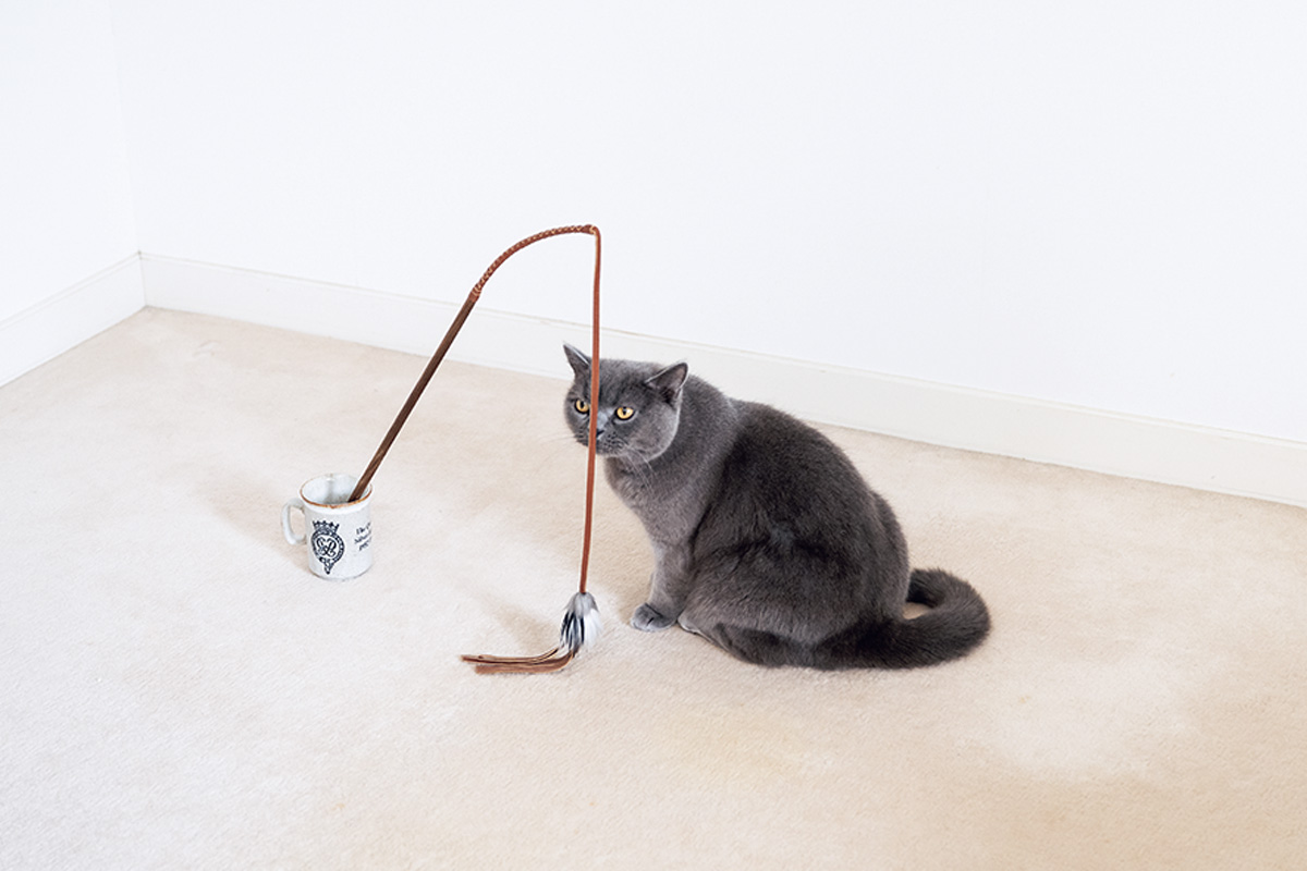 おしゃれな猫グッズ 〈Paw’s living〉カラーレザーバウンサー