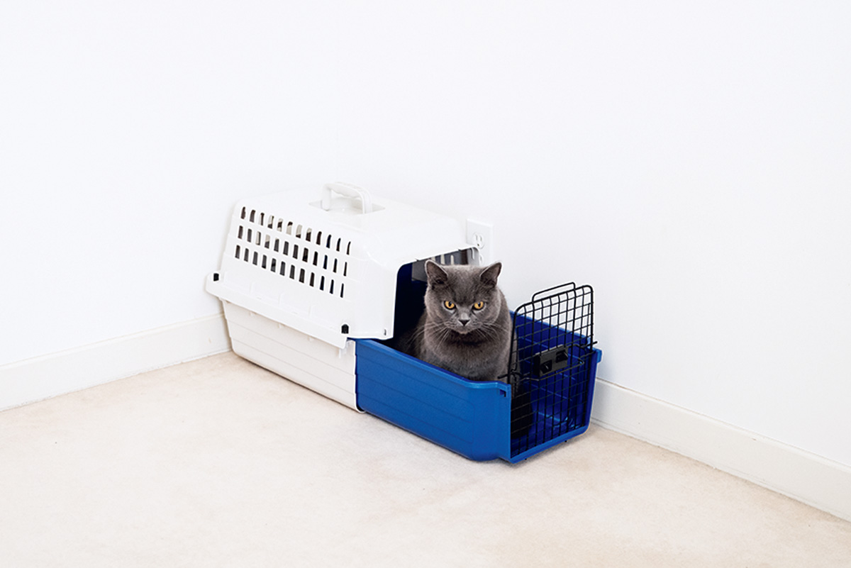 おしゃれな猫グッズ 〈猫用品のゴロにゃん〉のスライド式カームキャリー Sサイズ