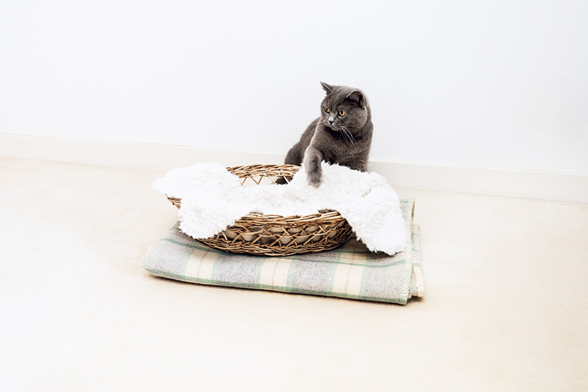 おしゃれな猫グッズ 〈オルネ ド フォイユ〉オルネコ・キャットバスケット Blottie