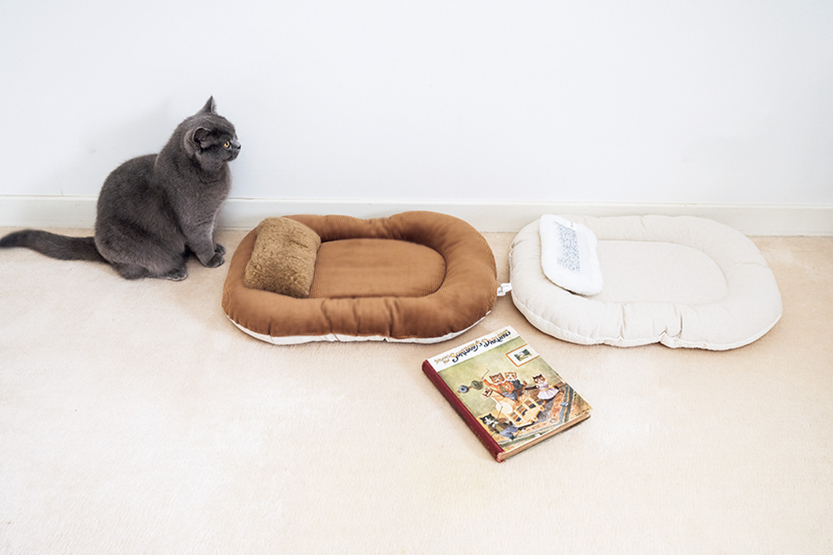 おしゃれな猫グッズ　〈Onddoka〉Fabric bed [Sucker Corduroy]
