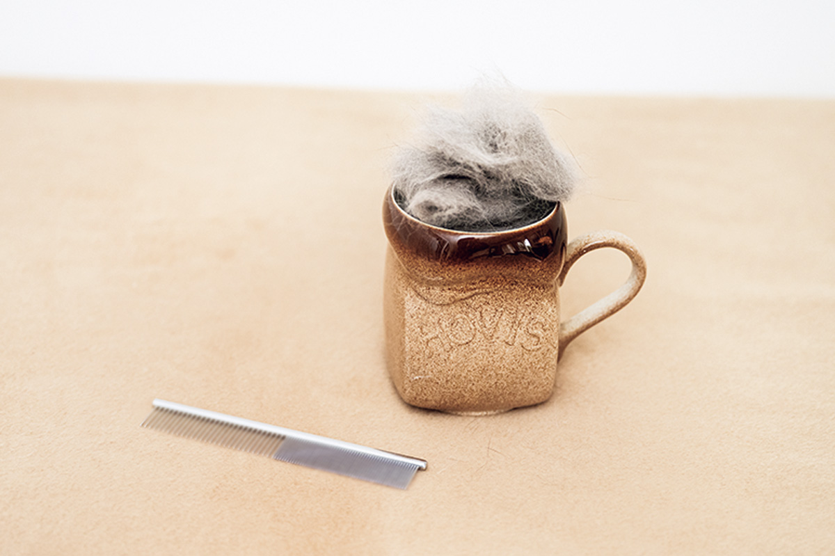 おしゃれな猫グッズ 〈猫用品のゴロにゃん〉 ハチコウ 両目櫛 Cat