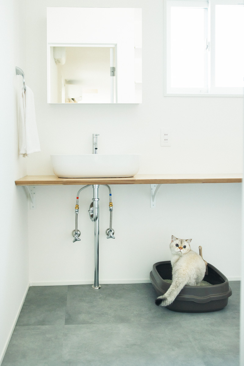 プロに教えてもらう猫ファーストな家の造り方 洗面所