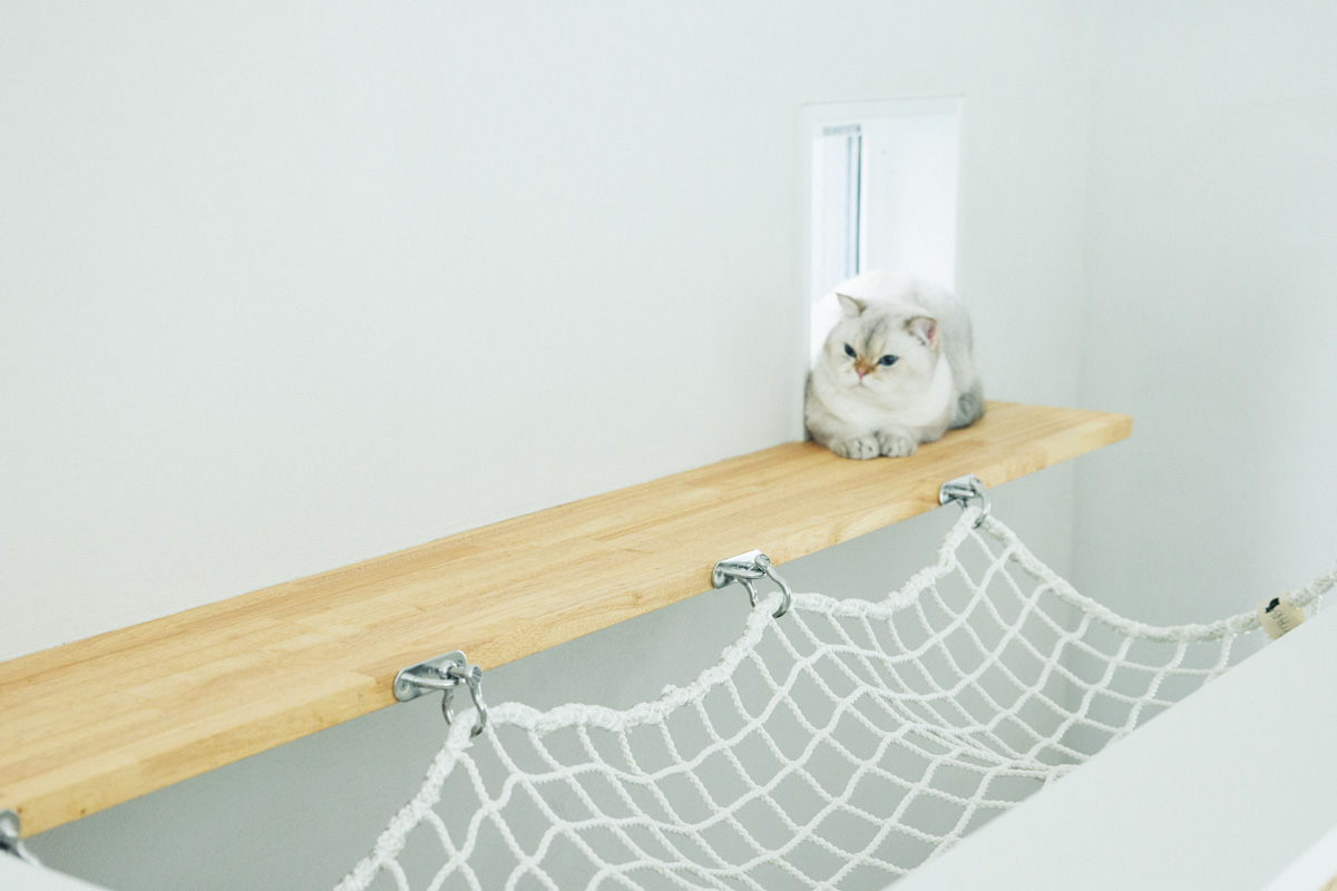 プロに教えてもらう猫ファーストな家の造り方 吹き抜け