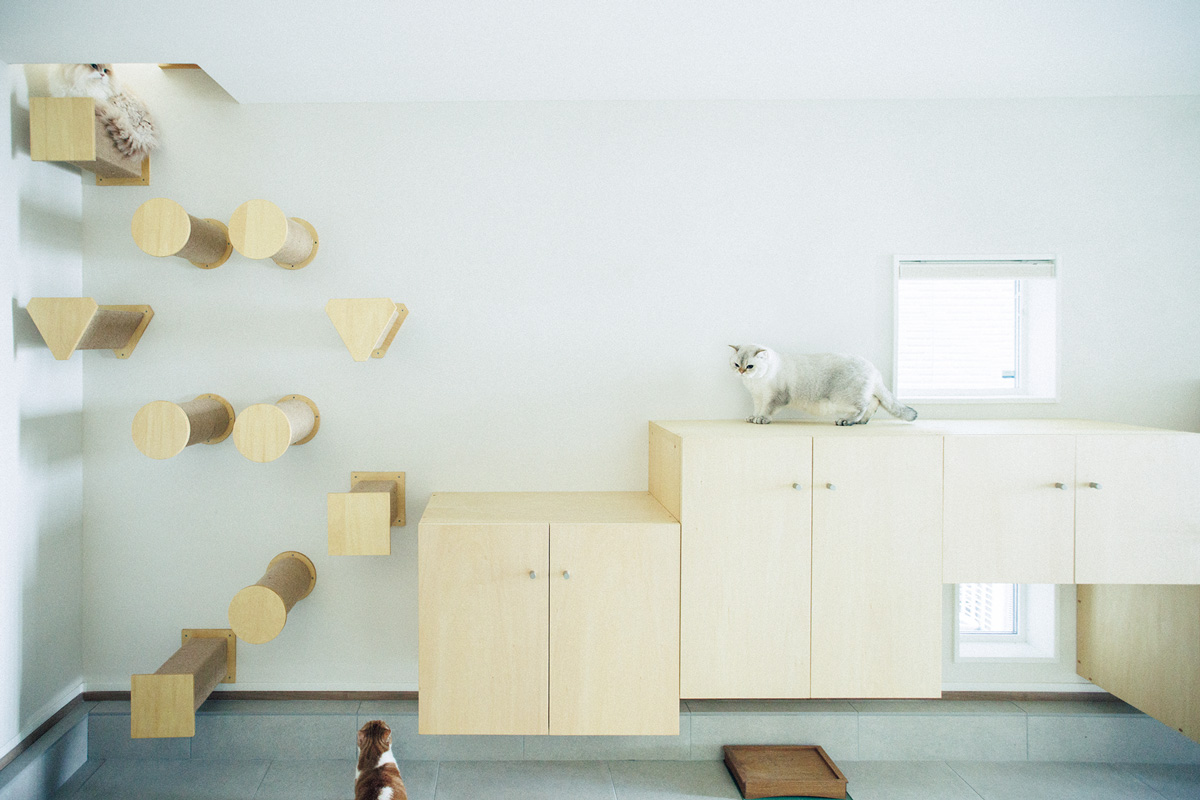 プロに教えてもらう猫ファーストな家の造り方 収納